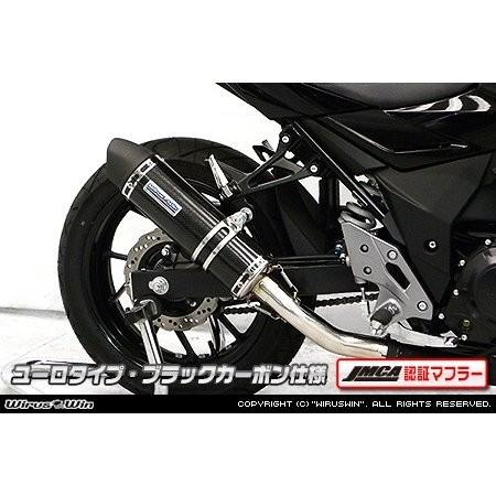 スリップオンマフラー ユーロタイプ ブラックカーボン（JMCA認証マフラー） ウイルズウィン（WirusWin） GSX250R（2BK-DN11A）