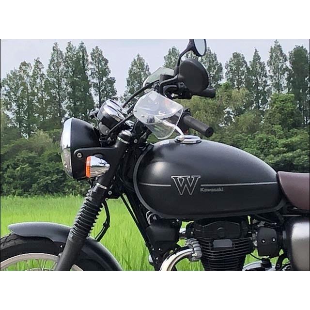 ガイラガントレット クリア CHIC DESIGN（シックデザイン） W800