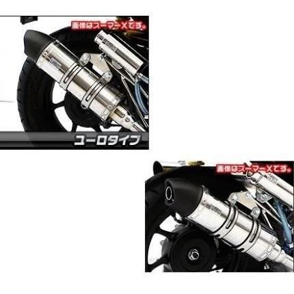 専用 1 Mio125i・Mio125RR（FI車） ロイヤルマフラー ユーロタイプ ステンレス