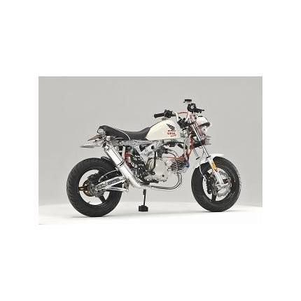 RACING-DOWN （ステンレスEXP） （RACING-DOWN MuFFleR） OVER