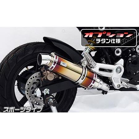 スリップオンマフラー スポーツタイプ チタン仕様 ウイルズウィン（WirusWin） GROM（グロム）JC92（3型）
