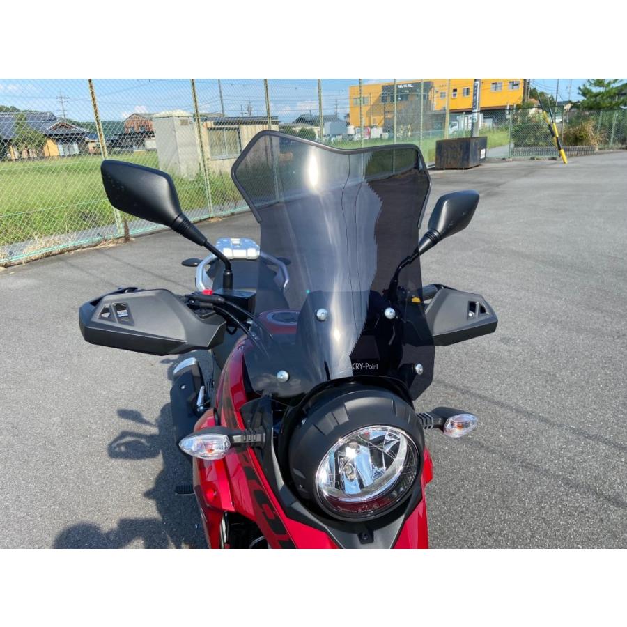 Vストローム250 スモークスクリーン アクリポイント（ACRY-Point