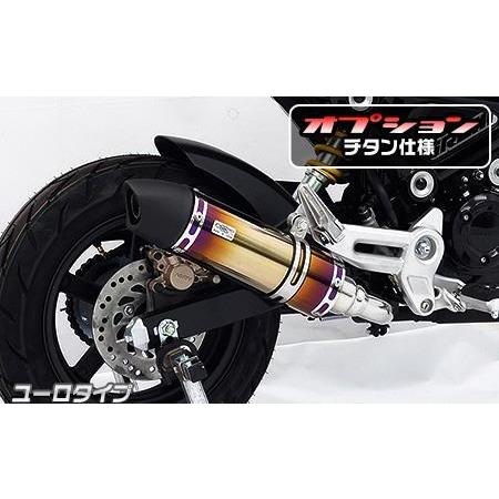 スリップオンマフラー ユーロタイプ チタン仕様 ウイルズウィン