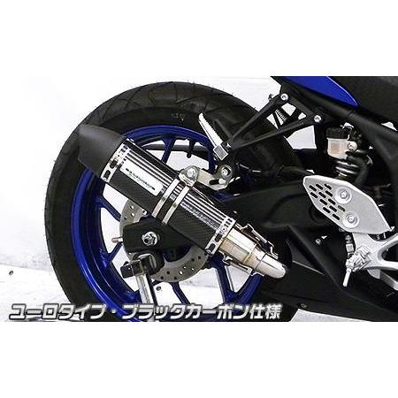 スリップオンマフラー ユーロタイプ ブラックカーボン（ヒートガード-ブラック仕上） ウイルズウィン（WirusWin） YZF-R25（2BK-RG43J）