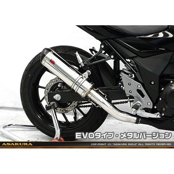 GSX250R（2BK-DN11A） TTRタイプマフラー EVOタイプ メタルバージョン