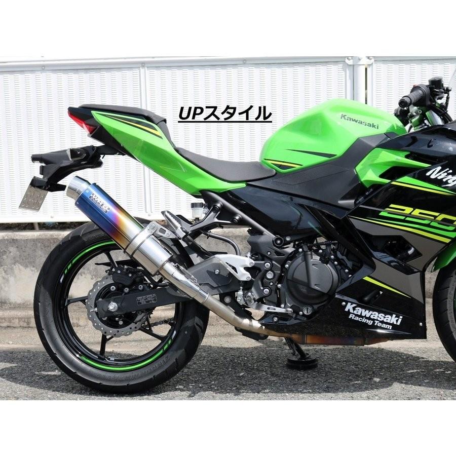 Ninja250（ニンジャ）18年 ラウンドタイプスリップオンマフラー
