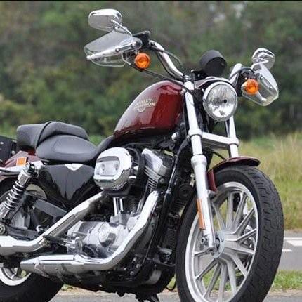 ガイラガントレット クリア 04- CHIC DESIGN（シックデザイン） スポーツスター（SPORTSTER）