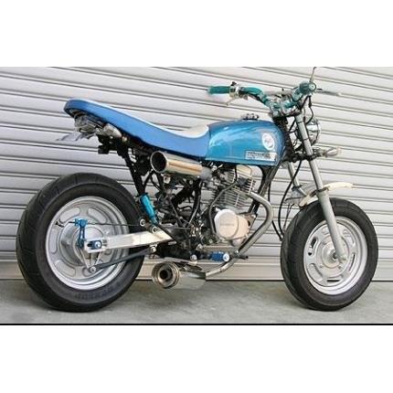 エイプ100（APE） ドラッグパイソンダウンマフラー ウイルズウィン