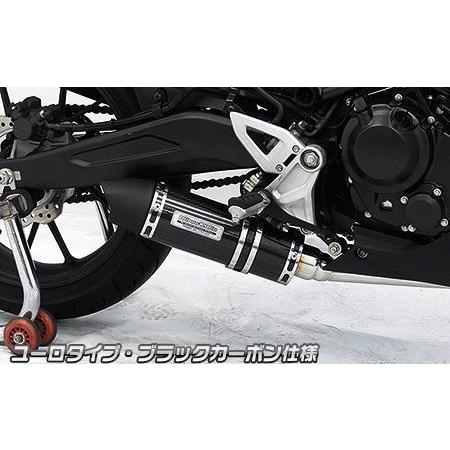 ダイナミックマフラー ユーロタイプ フルエキゾースト ブラックカーボン仕様 ウイルズウィン（WirusWin） CB250R（2BK-MC52）