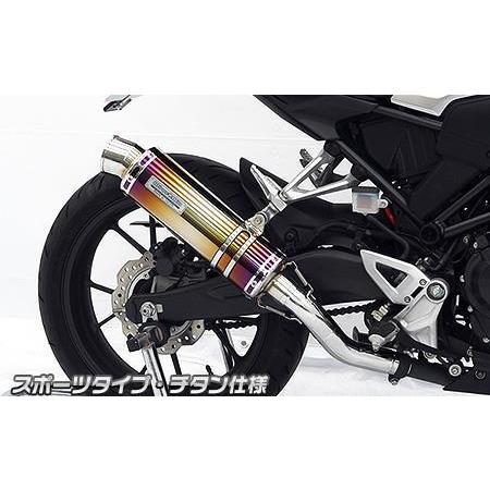 スリップオンマフラー スポーツタイプ チタン仕様 ウイルズウィン（WirusWin） CB250R（2BK-MC52）