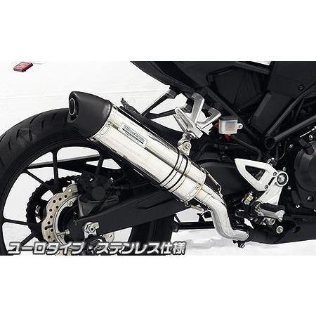 スリップオンマフラー ユーロタイプ ステンレス仕様 ウイルズウィン（WirusWin） CB250R（2BK-MC52）の画像