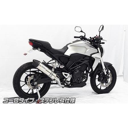 スリップオンマフラー ユーロタイプ ステンレス仕様 ウイルズウィン（WirusWin） CB250R（2BK-MC52）の画像