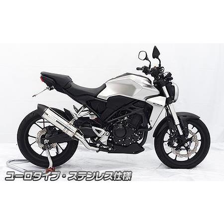 スリップオンマフラー ユーロタイプ ステンレス仕様 ウイルズウィン（WirusWin） CB250R（2BK-MC52）の画像