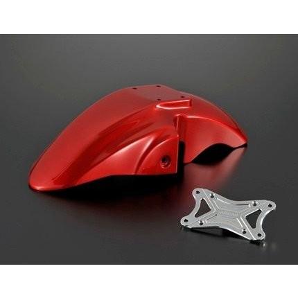 GSR250（JBK-GJ55D） フロントフェンダー スタビライザー付 FRP製 塗装モデル AGRAS（アグラス）