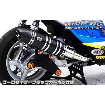 シグナスdyレーシングフロントフォーク 1型から3型用 て2.3 WirusWin