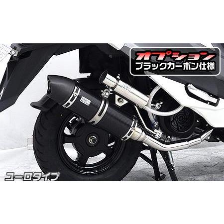 ロイヤルマフラー ユーロタイプ ブラックカーボン仕様 ウイルズウィン