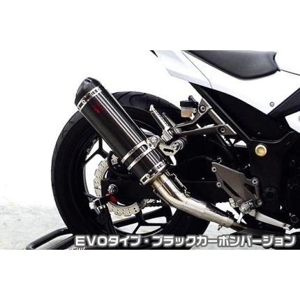 Ninja250（ニンジャ）JBK-EX250L TTR手あいえり巻き EVO手あい ブラックカーボンバージョン（スリップオン） ASAKURA（浅倉商事） マフラー-バイク-車、バイク、自転車