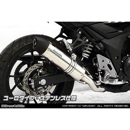 スリップオンマフラー ユーロタイプ ステンレス ウイルズウィン（WirusWin） GSX250R（2BK-DN11A）の画像