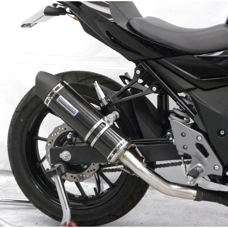 スリップオンマフラー ユーロタイプ ブラックカーボン ウイルズウィン（WirusWin） GSX250R（2BK-DN11A）