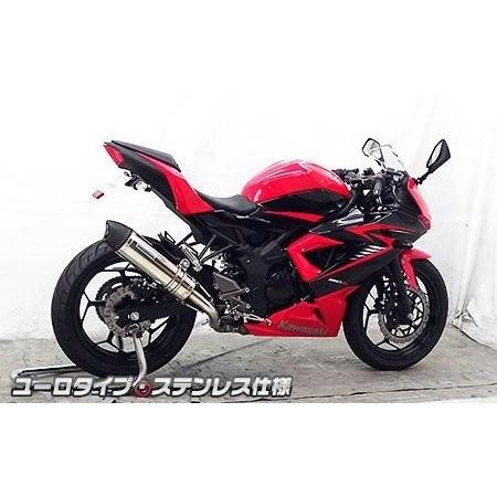 Ninja250SL（ニンジャ250SL） スリップオンマフラー ユーロタイプ ステンレス ウイルズウィン（WirusWin）の画像