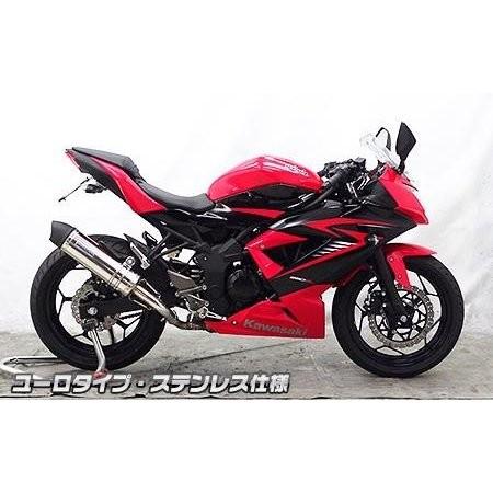 Ninja250SL（ニンジャ250SL） スリップオンマフラー ユーロタイプ ステンレス ウイルズウィン（WirusWin）の画像