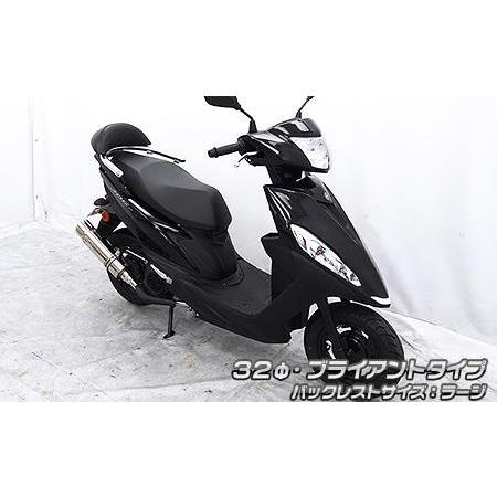 バックレスト付き 32φタンデムバー ブライアントタイプ バック