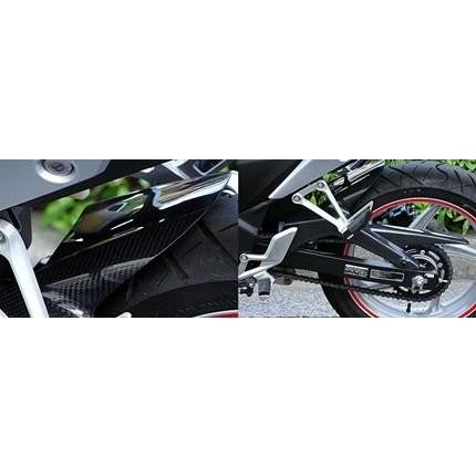 CBR250R（MC41） カーボンリアフェンダー WORLD WALK（ワールド 