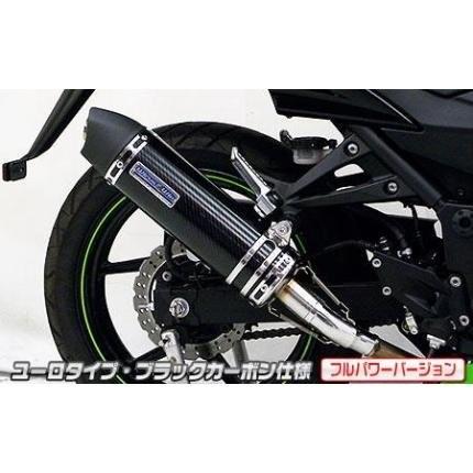 Ninja250R（ニンジャ）JBK-EX250K スリップオンマフラー ユーロタイプ ブラックカーボン（フルパワーバージョン） ウイルズウィン（WirusWin）