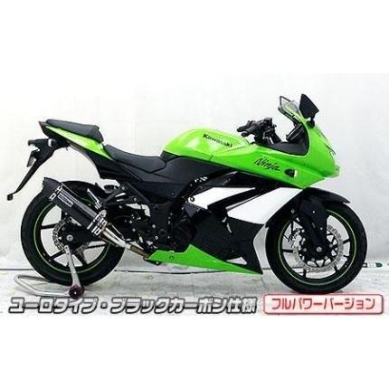 Ninja250R（ニンジャ）JBK-EX250K スリップオンマフラー ユーロタイプ ブラックカーボン（フルパワーバージョン） ウイルズウィン（WirusWin）