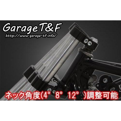 ドラッグスター250 トリプルトゥリー（角度調整機能付き） ポリッシュ ガレージT＆Fの画像