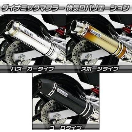 VTR（JBK-MC33）2009年以降モデル ダイナミックマフラー スポーツタイプ ブラックカーボン仕様（フルパワーバージョン） ウイルズウィン（WirusWin）