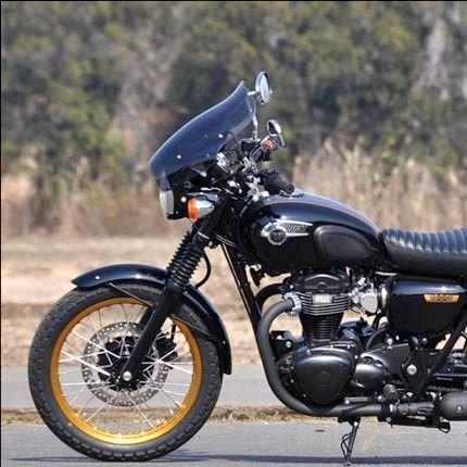 ガイラシールド スモーク CHIC DESIGN（シックデザイン） W800 