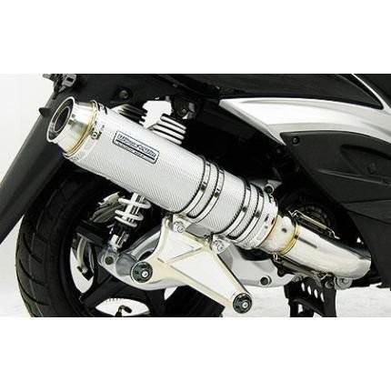 シグナスX（1型）国内SE12J アルティメットマフラー シルバーカーボン仕様 ウイルズウィン（WirusWin）の画像