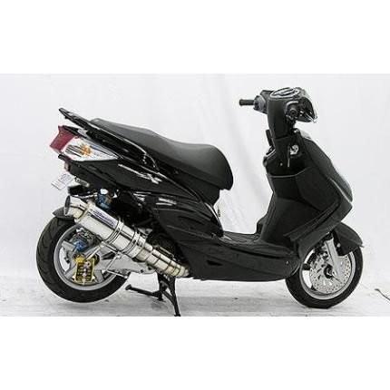 ステンレス デュアルエキゾーストマフラー ウィルズウィン　se12j シグナス シグナスX（1型）国内SE12J プレミアムマフラーステンレス仕様