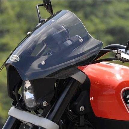 ガイラシールド スモーク CHIC DESIGN（シックデザイン） XR1200