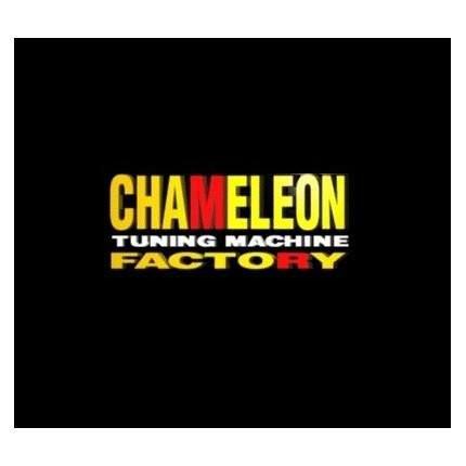 アドレスV125（ADDRESS） メガトン162オーバーサイズピストンキット chameleon（カメレオンファクトリー）