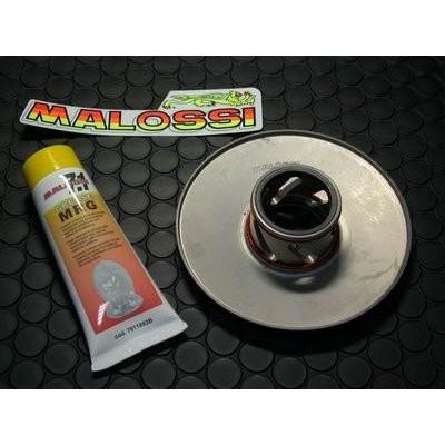 ビーウィズ（BWS50） トルクドライバー（33mm） MALOSSI（マロッシ）