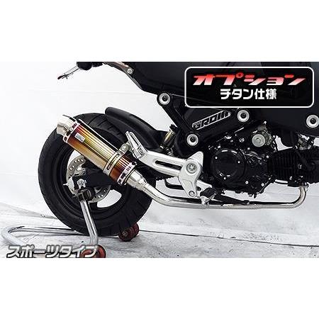 ロイヤルマフラー スポーツタイプ チタン仕様 フルエキゾースト