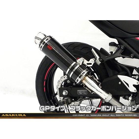 TTR印字機えり巻き スリップオン GP印字機 ブラックカーボンバージョン ASAKURA（浅倉商事） Ninja250（ニンジャ250）2BK-EX250P