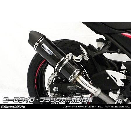 スリップオンマフラー ユーロタイプ ブラックカーボン仕様 ウイルズウィン（WirusWin） Ninja250（ニンジャ250）2BK-EX250P