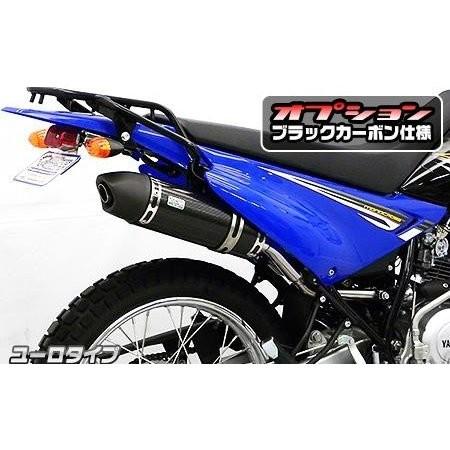 XTZ125 スリップオンマフラーユーロタイプ 炭素 ウイルズウィン（WirusWin） バイク-スリップオンマフラー-マフラー