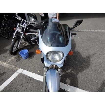 バリオス2（BALIUS） 汎用ビキニカウル DS-01 タイプR クリアスクリーン（ムーンライトシルバー）コード：473 WORLD WALK（ワールドウォーク）