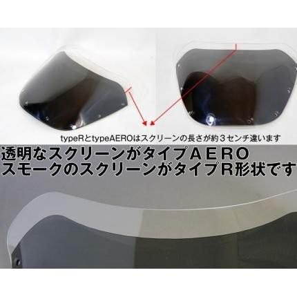 バリオス2（BALIUS） 汎用ビキニカウル DS-01 タイプR クリアスクリーン（ムーンライトシルバー）コード：473 WORLD WALK（ワールドウォーク） バリオス2 BALIUS DS 　