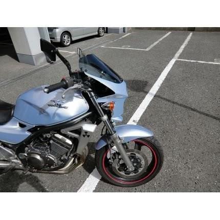 バリオス2（BALIUS） 汎用ビキニカウル DS-01 タイプR クリアスクリーン（ムーンライトシルバー）コード：473 WORLD WALK（ワールドウォーク） バリオス2 BALIUS DS 　