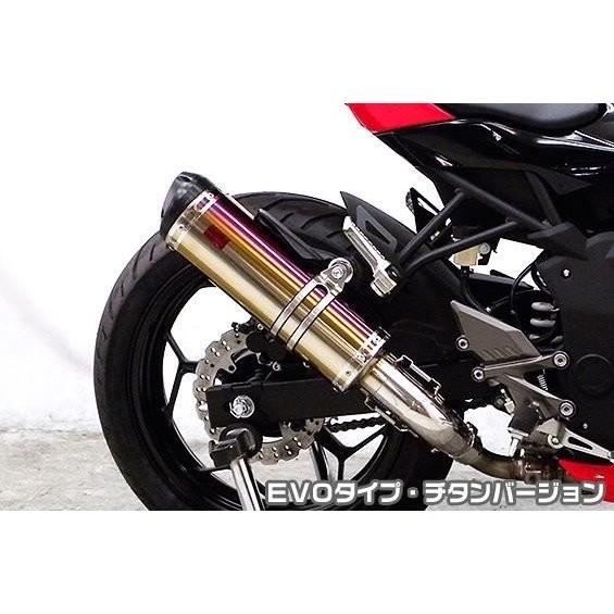 Ninja250SL（ニンジャ250SL）JBK-BX250A TTRタイプスリップオンマフラー EVO印字機 チタン変わり種 ASAKURA（浅倉商事）