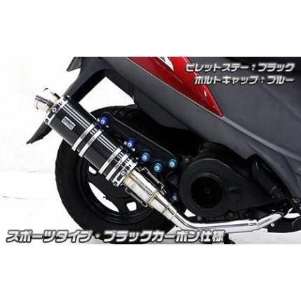 アニバーサリーマフラー スポーツタイプブラックカーボン ウイルズウィン（WirusWin） アドレスV125S（ADDRESS）EBJ-CF4MA