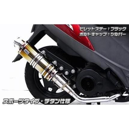 アニバーサリーマフラー スポーツタイプチタン仕様 ウイルズウィン（WirusWin） アドレスV125S（ADDRESS）EBJ-CF4MA