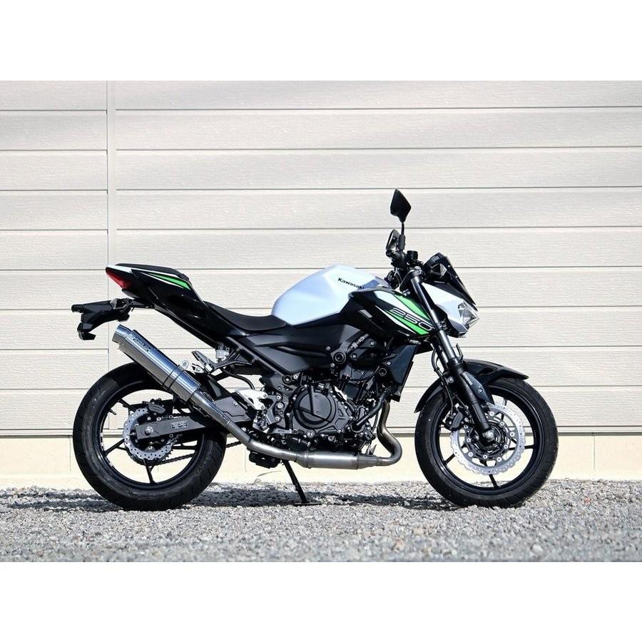 レイ Z400（19年） ラウンドタイプ ステンレスサイレンサー仕様 スリップ