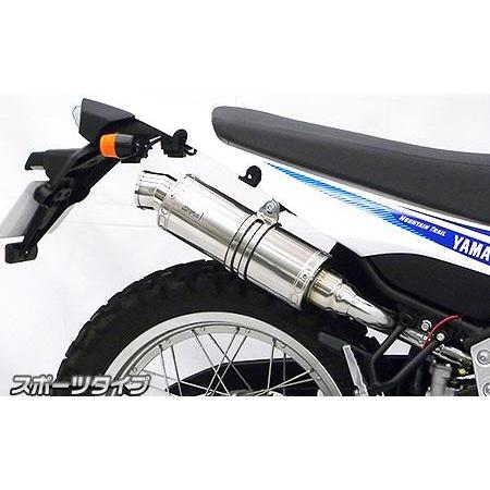 スリップオンマフラー スポーツタイプ ウイルズウィン（WirusWin