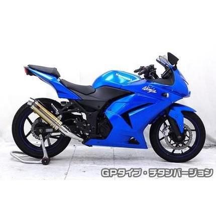 Ninja250R（ニンジャ） TTRタイプマフラースリップオン GPタイプ